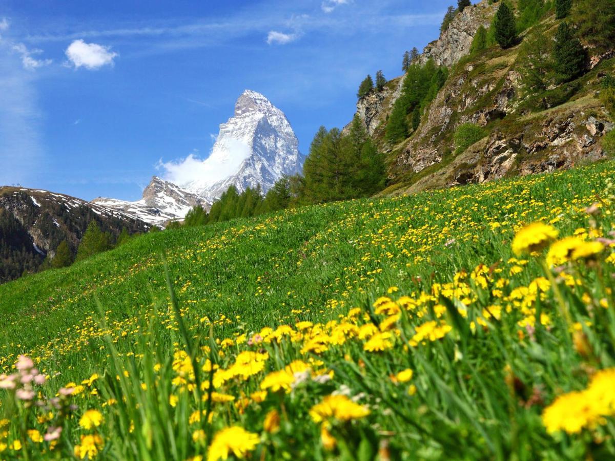 Apartment Kondor By Interhome Zermatt Exterior photo