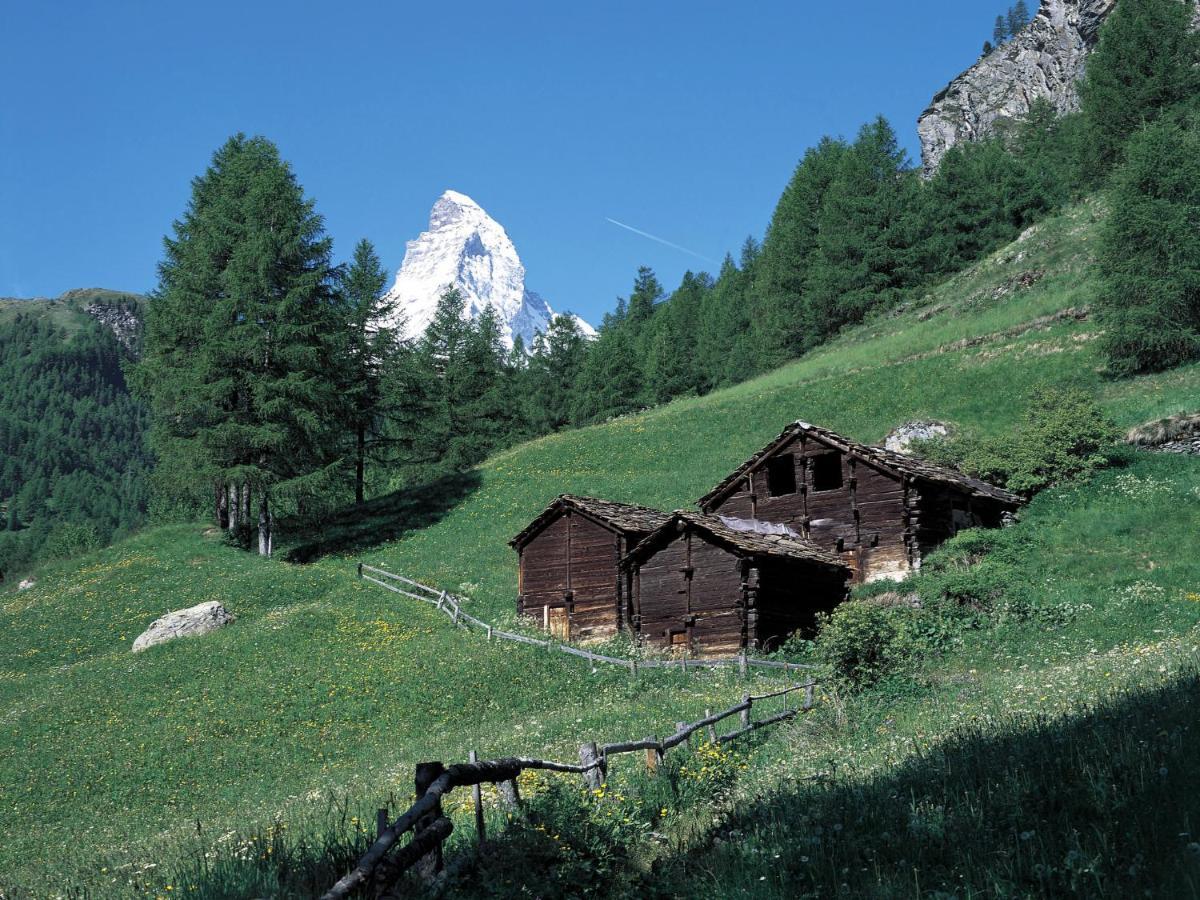 Apartment Kondor By Interhome Zermatt Exterior photo